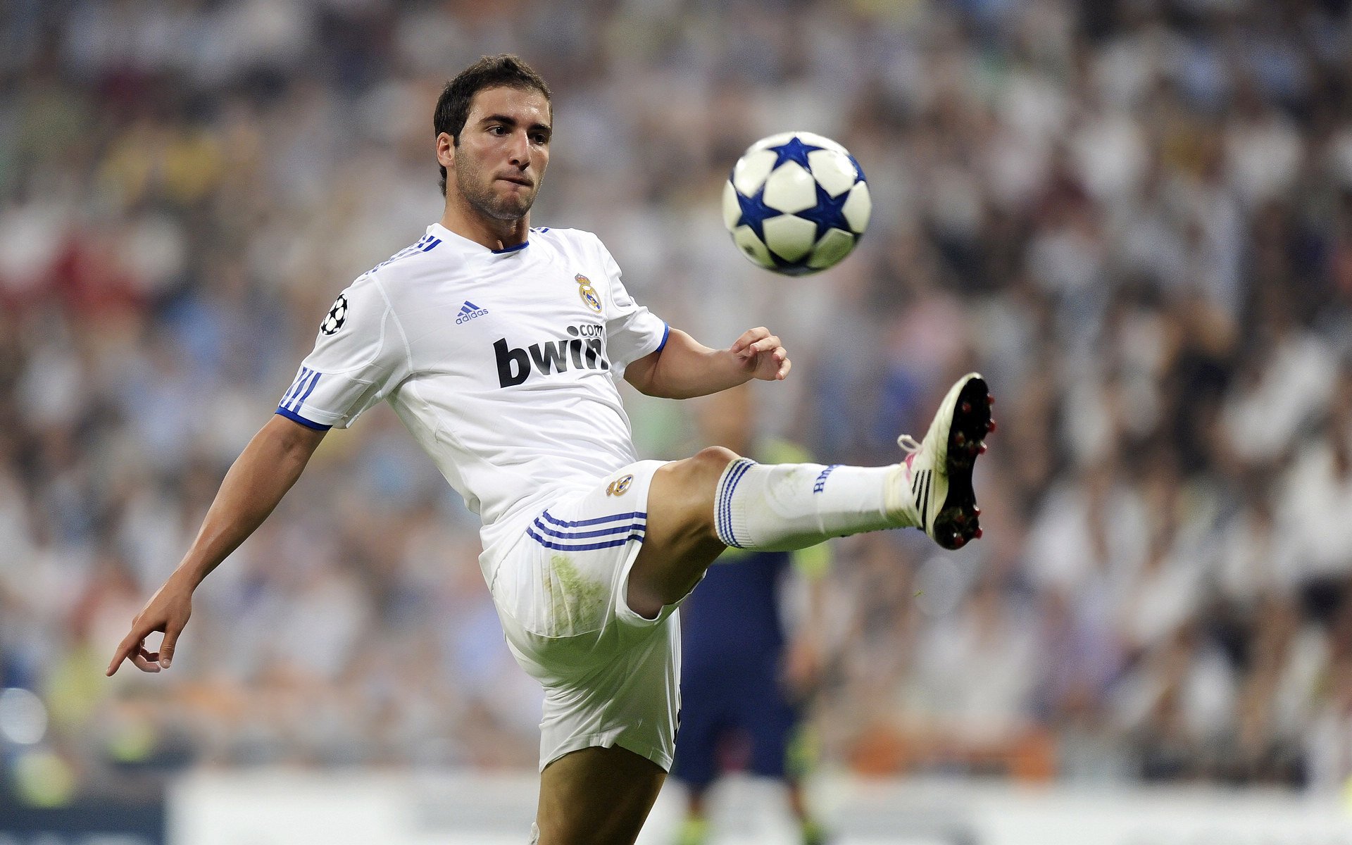 科维托娃在皇家马德里比赛中比赛局势复杂，刷新纪录引发热议！气势如虹延续(李娜vs科维托娃)