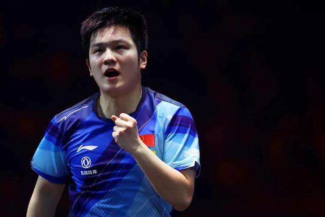 樊振东成就一览表 樊振东成就一览表