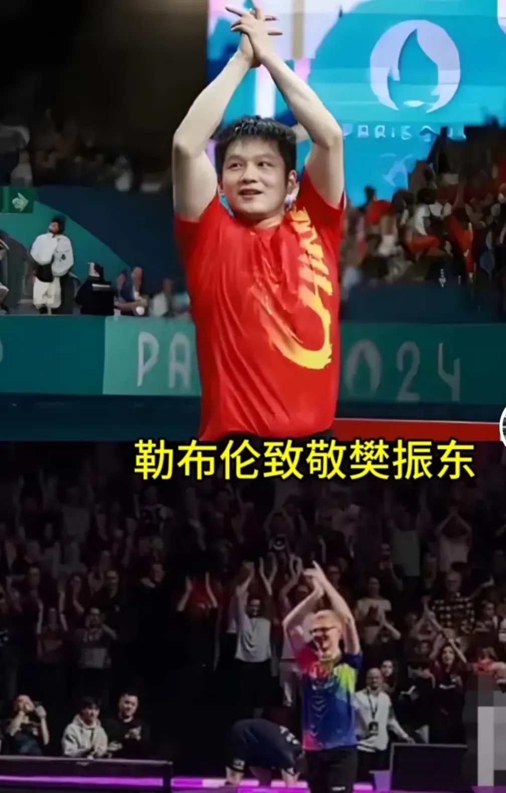 樊振东成就一览表 樊振东成就一览表